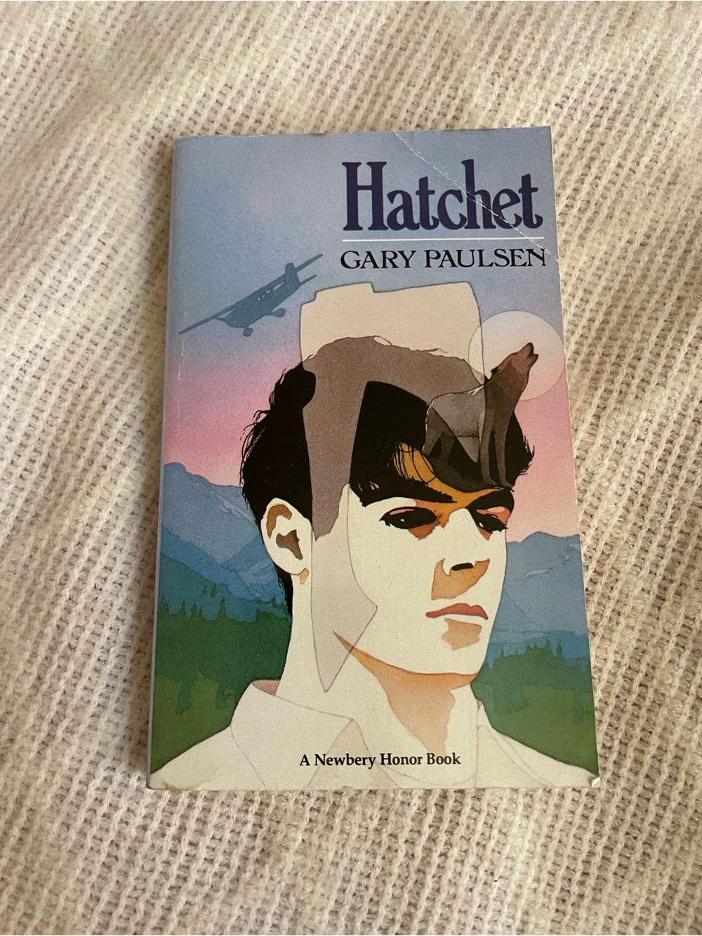 Hatchet book